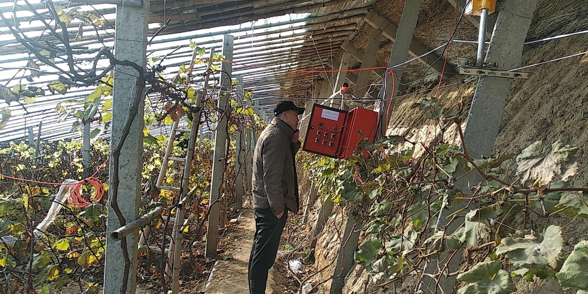 微信图片_20191118144808.jpg